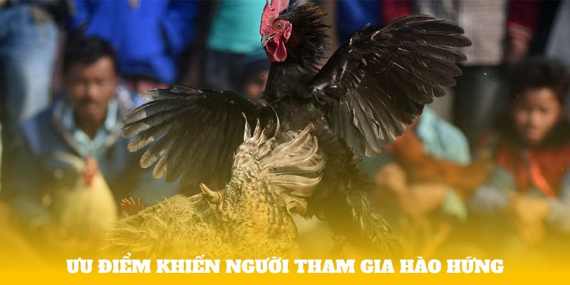 Ưu điểm khiến người tham gia hào hứng