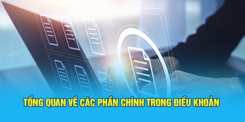 Tổng quan về các phần chính trong điều khoản